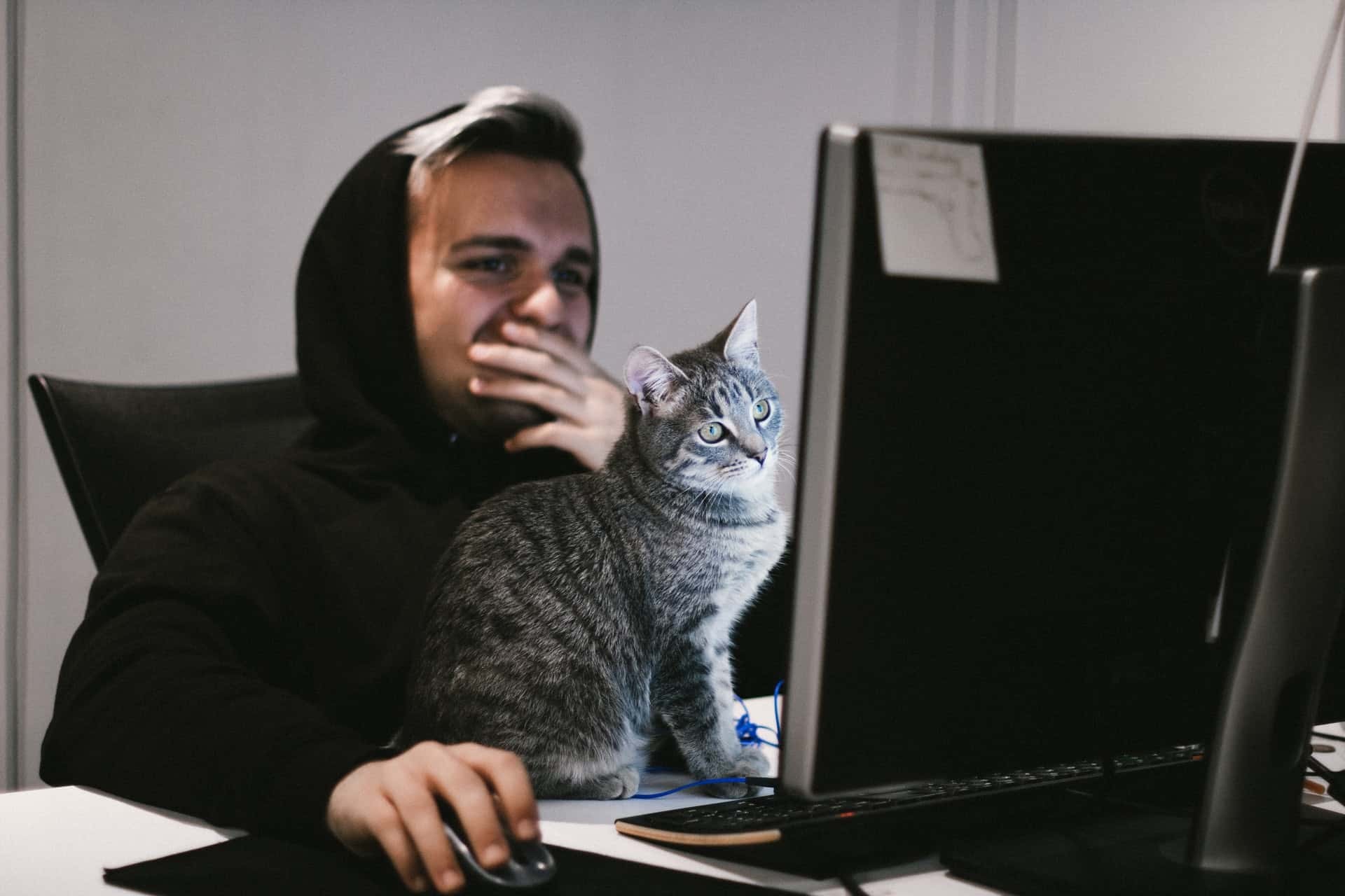 Person with cat sitting on top of desk at
computer.